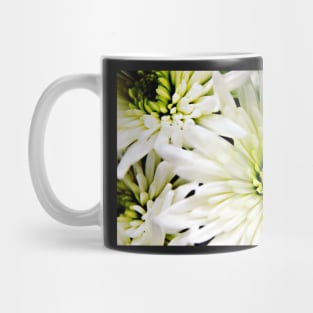 White Chrysanthemum flowers Mug